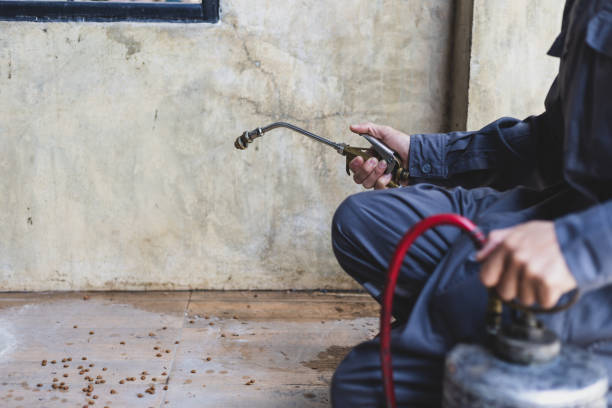 Pest Control for Restaurants in Kimberly, AL